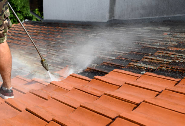 Best Sidewalk Pressure Washing  in Waterville, NY
