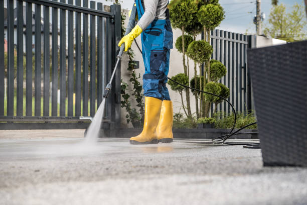 Best Roof Pressure Washing  in Waterville, NY