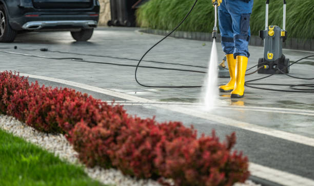 Best House Pressure Washing  in Waterville, NY