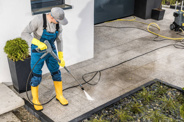 Best Exterior Home Cleaning  in Waterville, NY