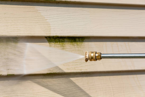 Best Local Pressure Washing Services  in Waterville, NY