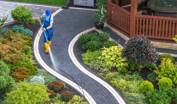 Best Roof Pressure Washing  in Waterville, NY