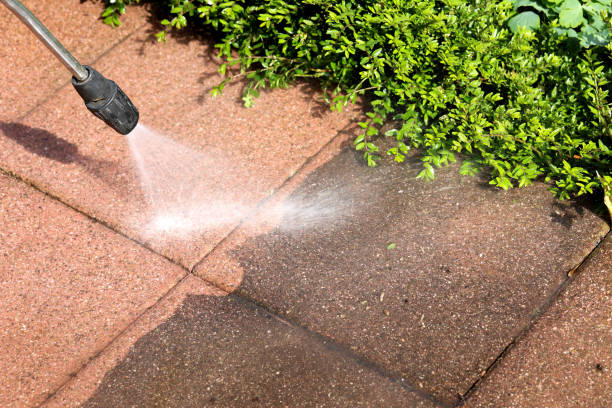 Best House Pressure Washing  in Waterville, NY