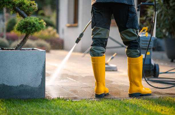 Best Affordable Pressure Washing  in Waterville, NY